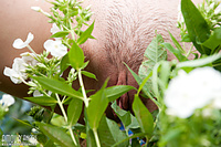 Naked party girl in backyard