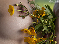 Euro teen erotica young erotic teens female in a hammock