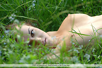 Free pictures of erotica pussy erotic free nude pics