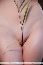 Erotic erotic models erotic gorgeous teen